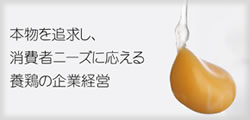 有限会社　青木養鶏所