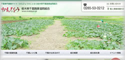 栃木県干瓢商業協同組合
